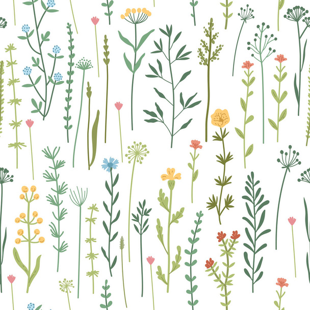 Seamless floral pattern with hand drawn plants, leaves, wild flowers. - Vector, Image