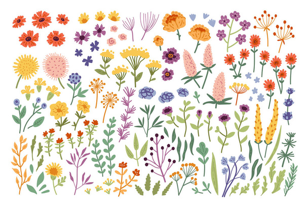 Big botanical set of doodle wild flower other elements. - Vector, Image