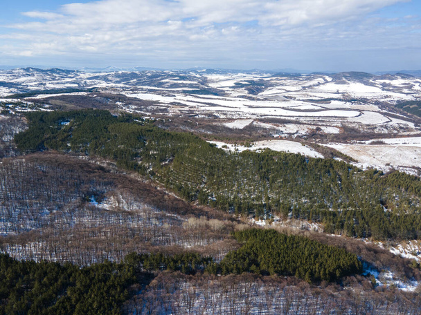 Aerial Winter view of Lyulin Mountain covered with snow, Sofia City Region, Bulgaria - Photo, image