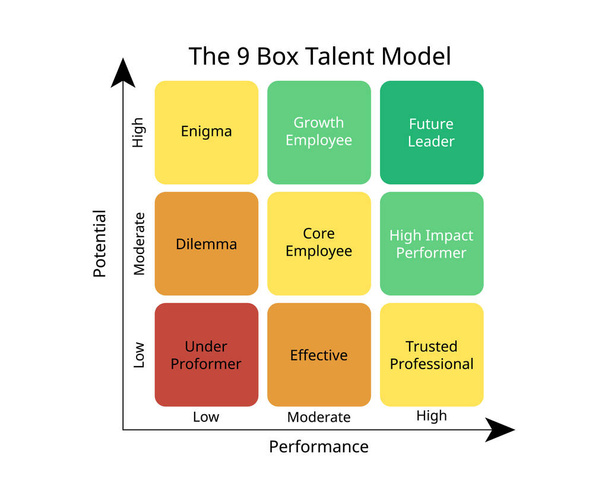 9 коробчаста модель таланту або 9 коробчаста сітка це інструмент, який використовується для аналізу, відображення та порівняння продуктивності роботи працівника та потенціалу
 - Вектор, зображення
