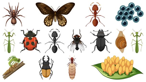 Colección de diferentes insectos aislados sobre fondo blanco ilustración - Vector, imagen