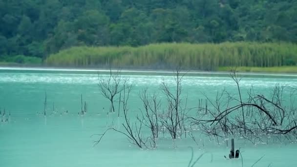 Näkymä luonnon matkailun Bodas järvi, Garut, Indonesia. Sininen järvi näkymä vuorille, joilla on vihreät metsät - Materiaali, video