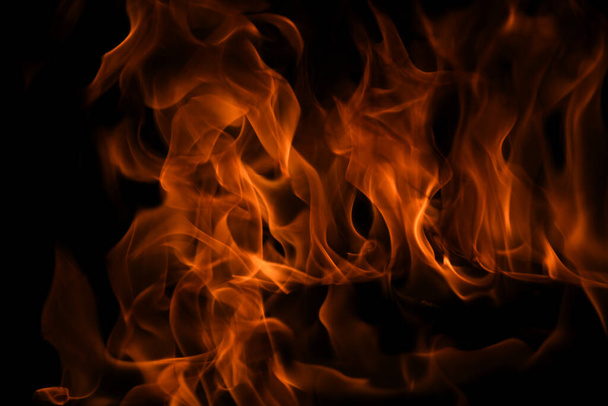 Flame fires. Burn lights on a black background. Fire flames on black background. Abstract fire flame background. - Фото, изображение