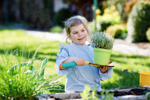 Imádnivaló kislány, aki kerti lapátot tart zöld növényekkel a kezében. Aranyos gyermek tanulni kertészkedés, ültetése és termesztése zöldségek gyógynövények a hazai kertben. Ökológia, bioélelmiszerek. - Fotó, kép