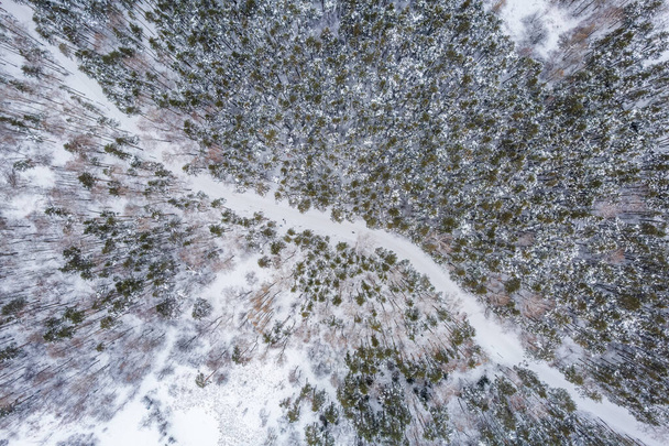 Aerial view of the road in the winter forest with high pine or spruce trees covered by snow. Driving in winter. Natural winter landscape from air. Forest under snow a the winter time. - Fotó, kép