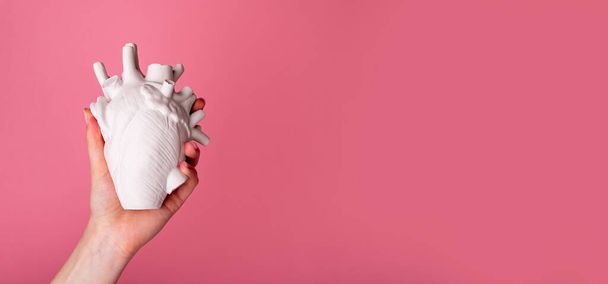 Hands holding white heart organ model. Health care or organ donation concept. Funny Valentines day banner with copy space - Foto, Imagem