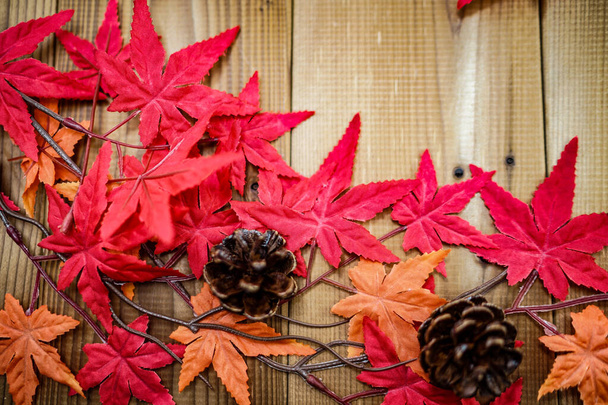 Podzimní listy a borové šišky. Místo střelby: prefektura Yokohama-city kanagawa - Fotografie, Obrázek