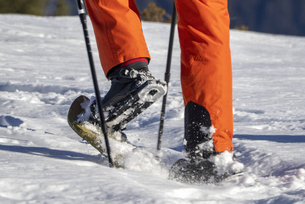 isolated snow shoe trekker walking on the snow - Photo, Image