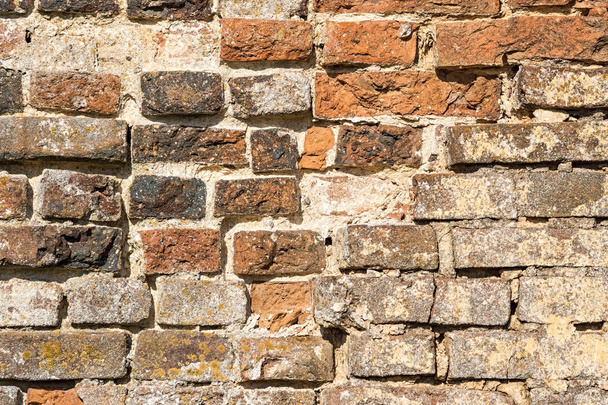 serf brick wall - Foto, Bild