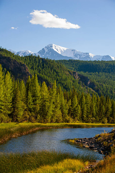 Vertical landscape with river, green forest and snowy Mountain, Republic of Gorny Altai Russia - Photo, Image