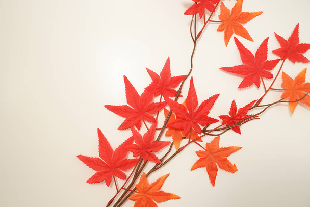 Obraz jesiennych liści (jesienna poezja artystyczna). Strzelanie Lokalizacja: Yokohama-city prefektura kanagawa - Zdjęcie, obraz