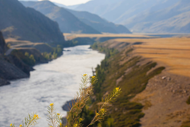 Chuisky tracto a lo largo del río Katun, República de Gorny Altai, Rusia - Foto, imagen