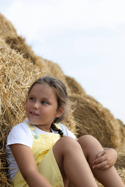 Portrait of curious little girl sitting on haystack with another stack behind back looking away with interested eyes with dozens of haystacks in background. Away from city - Valokuva, kuva
