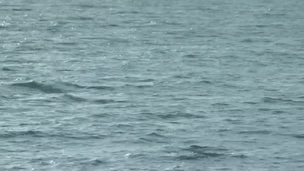 Nicht so ruhiges blaues Meer, es hat mehr Wellen als eine ruhige  - Filmmaterial, Video