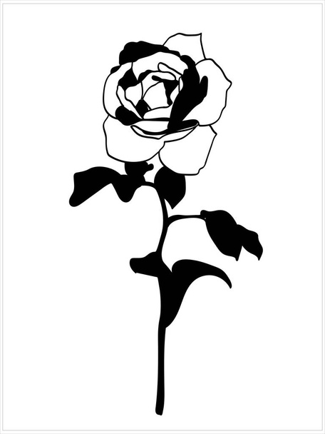 Roses  pattern.Image on a white and color backgroundr.Vector. - Wektor, obraz