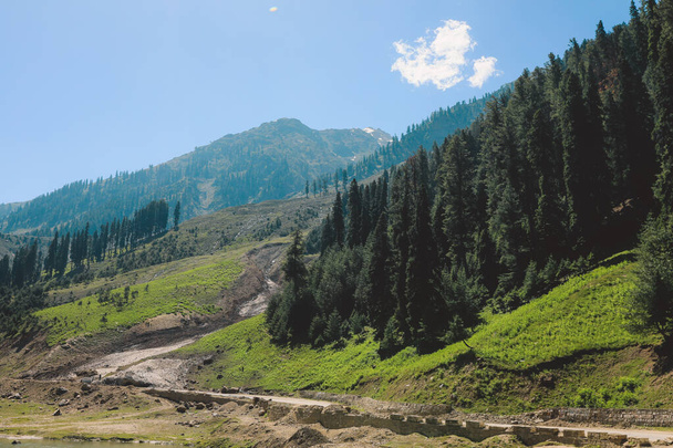 Fast River e Green Mountain Forest sotto il cielo blu nelle Gilgit Baltistan Highlands, Pakistan - Foto, immagini