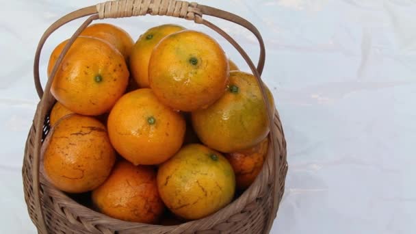 Φρέσκα ώριμα πορτοκάλια Tangerine στοιβαγμένα σε υφασμένο καλάθι, τα σταγονίδια νερού κάνουν τα φρούτα να φαίνονται φρέσκα. Τα πορτοκάλια είναι γλυκά, νόστιμα. Τοποθετημένος σε λευκό φόντο, απομονωμένος, χώρος. Τσιάνγκ Μάι Ταϋλάνδη. - Πλάνα, βίντεο