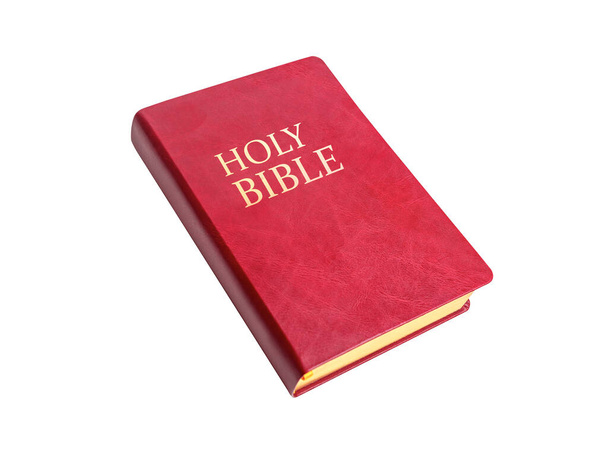 Holy Bible isolated on white background, - Photo, Image