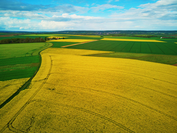 Scenic aerial drone view of yellow rapeseed fields in Ile-de-France, France - Фото, изображение