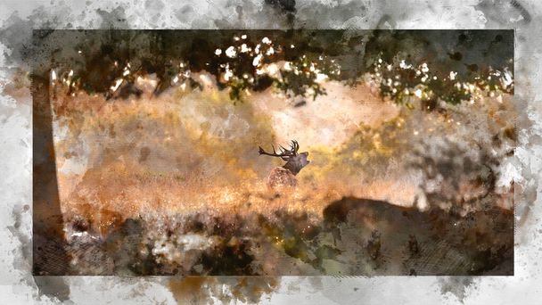 Pittura ad acquerello digitale di Bella immagine di cervo rosso cervo in autunno colorato Autunno paesaggio foresta  - Foto, immagini