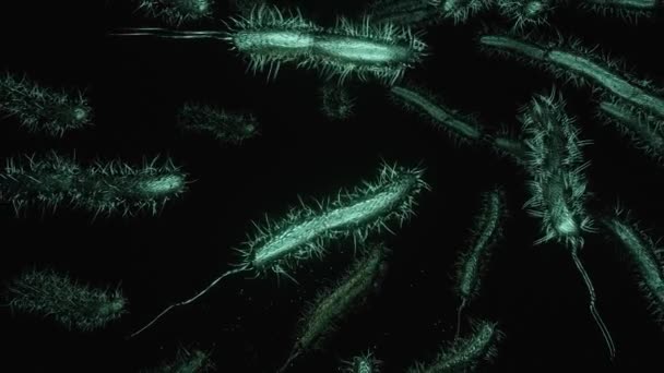 Animación 3-D de Bacterias nadando en agua sucia. - Metraje, vídeo