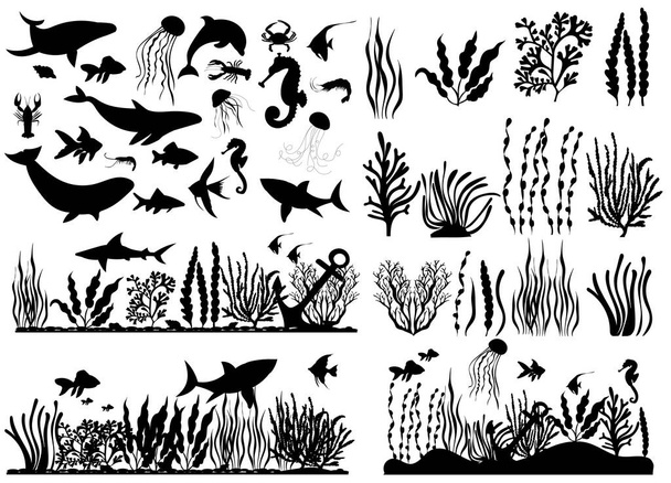 animais marinhos, peixes, algas silhueta, sobre fundo branco, vetor - Vetor, Imagem