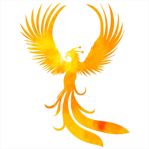 phoenix oiseau aquarelle silhouette, vecteur - Vecteur, image