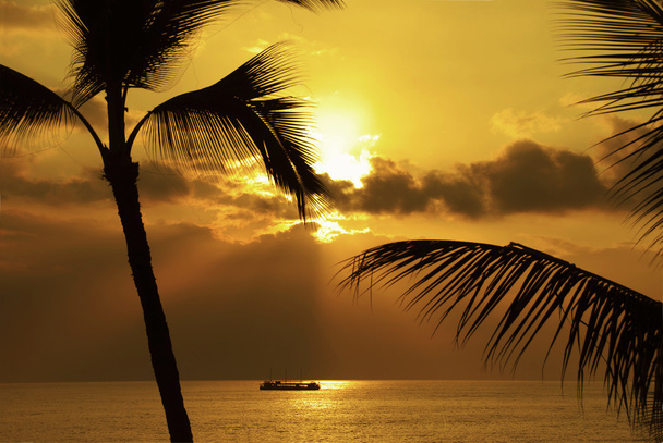 zonsondergang partij cruise - Foto, afbeelding