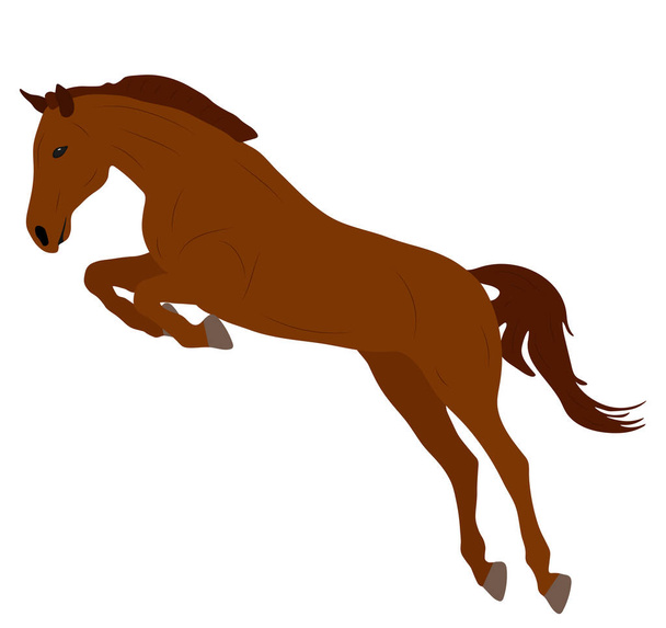 Όμορφη καφέ άλογο άλμα, διανυσματική απεικόνιση - Διάνυσμα, εικόνα