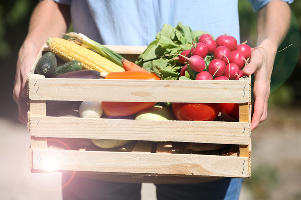 Fresh organic vegetables in wooden box in hand outdoors - Foto, Bild