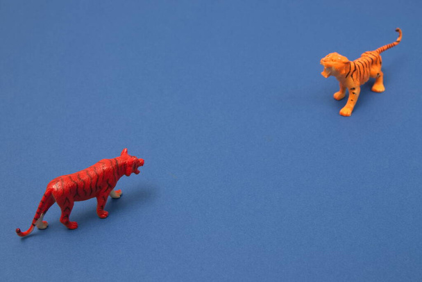 Deux tigres face à face, sur fond bleu. Scène animale minimale. - Photo, image