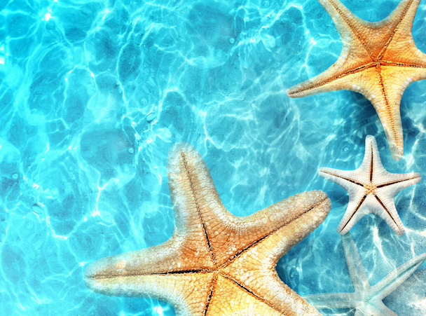 Hvězdice na letní pláži v mořské vodě. Letní pozadí. Letní čas. - Fotografie, Obrázek
