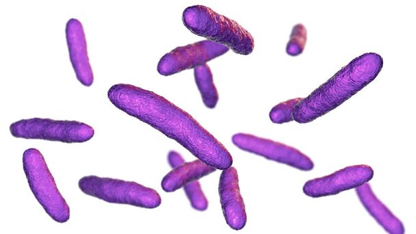 Bakteri Sphingomonas, bilimsel 3 boyutlu illüstrasyon. Gram-negatif çubuk şekilli bakteri doğada yaygın olarak dağıtılır ve ayrıca peritonit, septisemi, menenjit ve diğer hastalarda izole edilmiştir. - Fotoğraf, Görsel