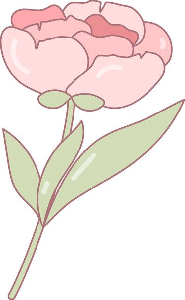 Vaaleanpunainen pioni kukka suunnittelu, koristelu, kortit. Eristetty vektoriobjekti - Vektori, kuva