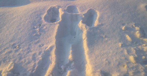Ένα αποτύπωμα ανθρώπινου σώματος στο χιόνι με τη μορφή αγγέλου. - Φωτογραφία, εικόνα