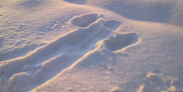Un'impronta di un corpo umano nella neve sotto forma di angelo - Foto, immagini
