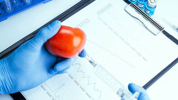 Modifiche genetiche OGM. Scienziato che inietta liquido dalla siringa nel pomodoro rosso. Alimenti geneticamente modificati - Foto, immagini