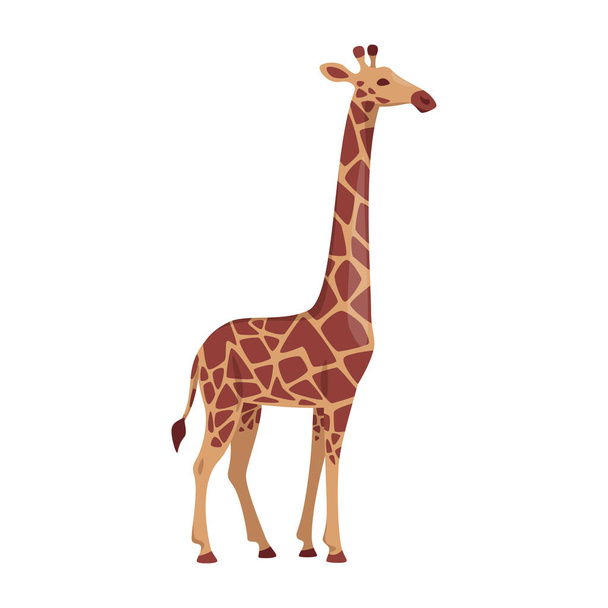 Vector cartoon style illustration of a giraffe  - Vector, Imagen