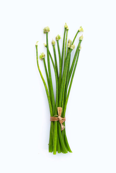 Schnittlauch Blume oder chinesischer Schnittlauch auf weiß - Foto, Bild