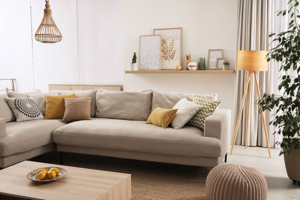 Stylish living room interior with comfortable grey sofa and different decor elements - Foto, Imagen