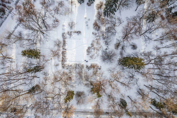 Small park with bare trees covered with snow. Aerial view of residential area in winter. Aerial view to winter park in Yekaterinburg - Fotoğraf, Görsel