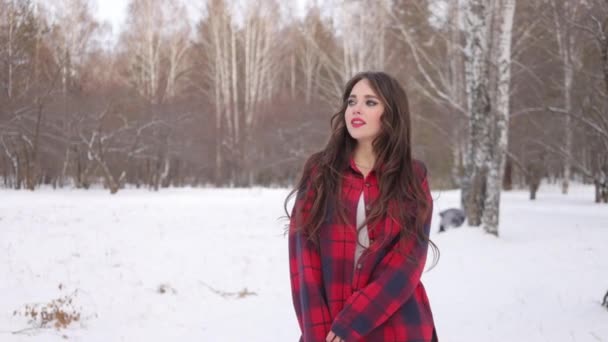 Encantadora hembra con el pelo largo caminando en el bosque nevado - Metraje, vídeo