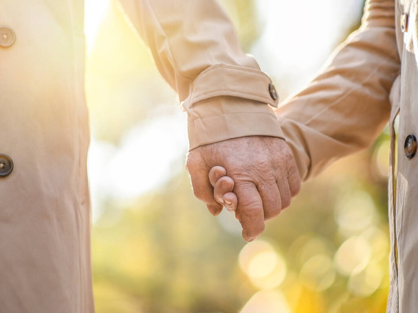Old retired happy loving couple holding hands - Photo, image