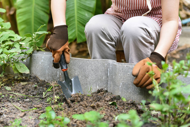 Садівниця ручна посадка в саду на подвір'ї, жінка в рукавичках використовує ручний лопата інструмент для розсади, Підготовка грунту для овочевого саду
. - Фото, зображення