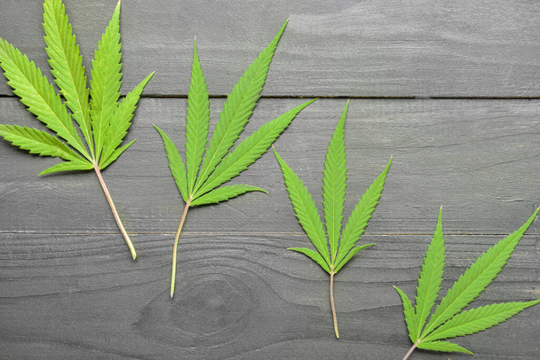 Hojas de cannabis sobre fondo de madera negro - Foto, imagen
