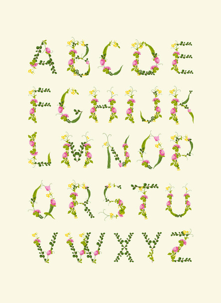 Print. Vector flower alphabet. Poster. Letters from plants. - Vektori, kuva