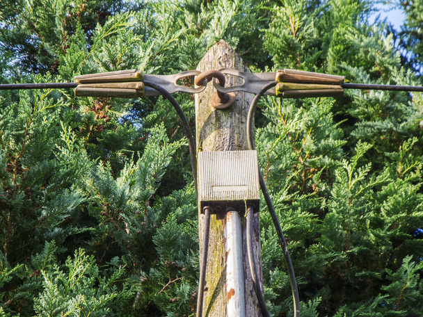 Gedeeltelijk bovenaanzicht van een telegraafpaal met verdeelkast tussen de inkomende en uitgaande telefoonlijnen voor groene bomen. - Foto, afbeelding