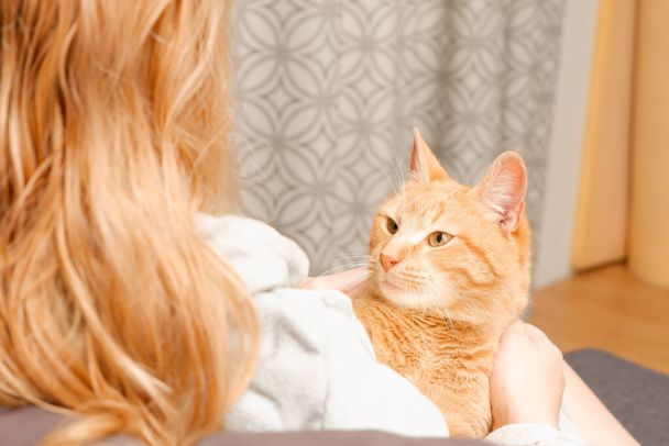 A woman in a warm bathrobe sits on a sofa with a cat. Red cat in the hands of a girl. Beautiful ginger tabby cat. Animals and lifestyle concept. - Photo, Image