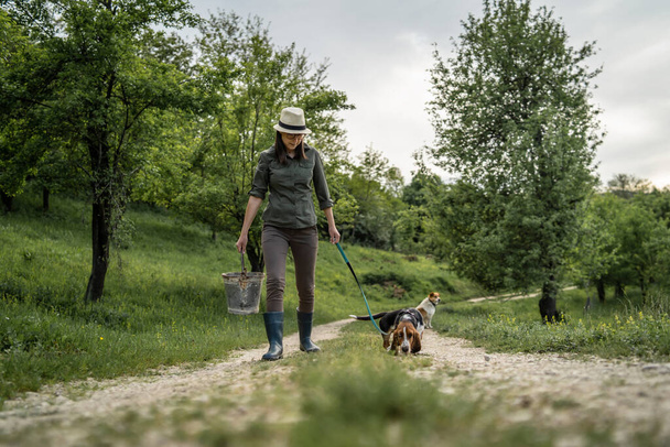 Front view of young adult one woman female farmer in summer sunny day walking on dirt road holding metal bucket with her dog basset hound beside real people sustainable loving copy space full length - Photo, Image