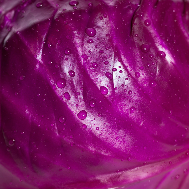 Red cabbage - Φωτογραφία, εικόνα